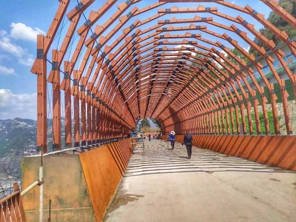 異形景觀鋼結(jié)構(gòu)工程-重慶友杰鋼結(jié)構(gòu)有限公司